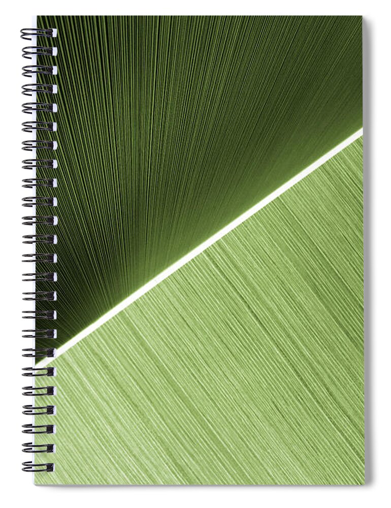 Abstract Spiral Notebook featuring the photograph Patterns and Colors. Green. by Ausra Huntington nee Paulauskaite
