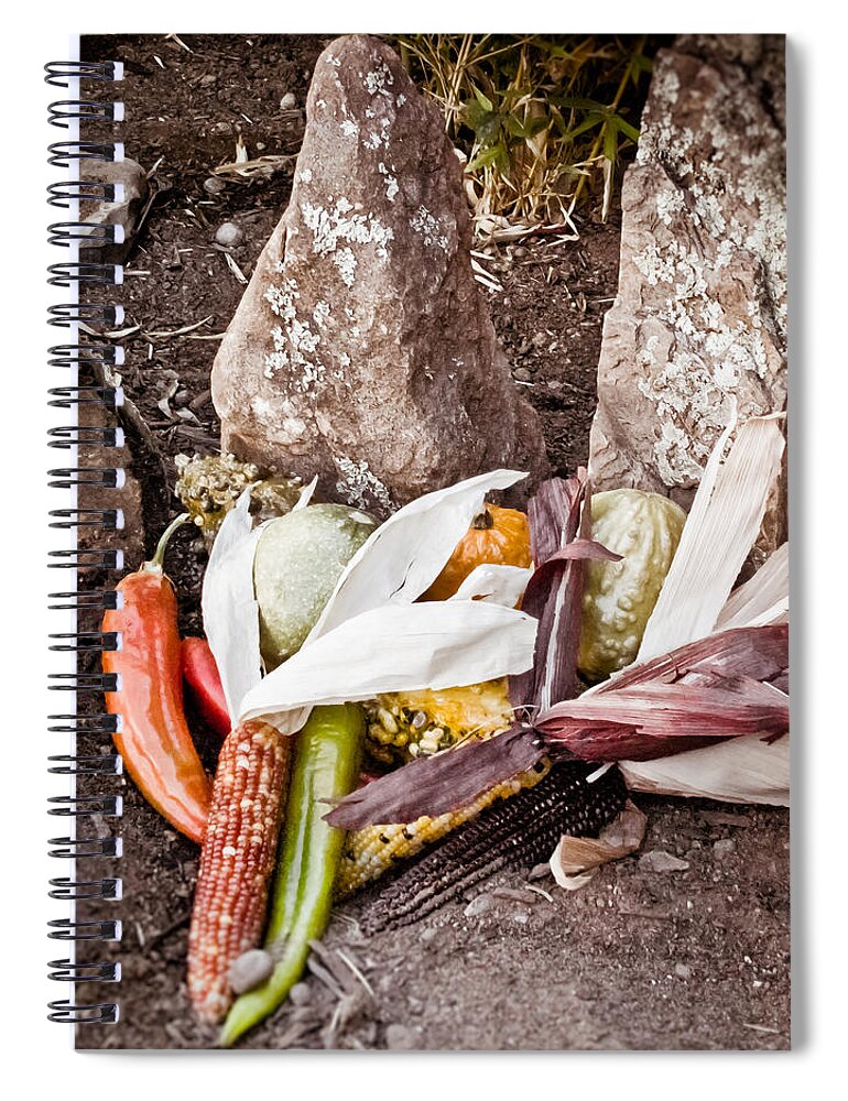 Thanksgiving Spiral Notebook featuring the photograph Albuquerque, New Mexico - Thanksgiving by Mark Forte