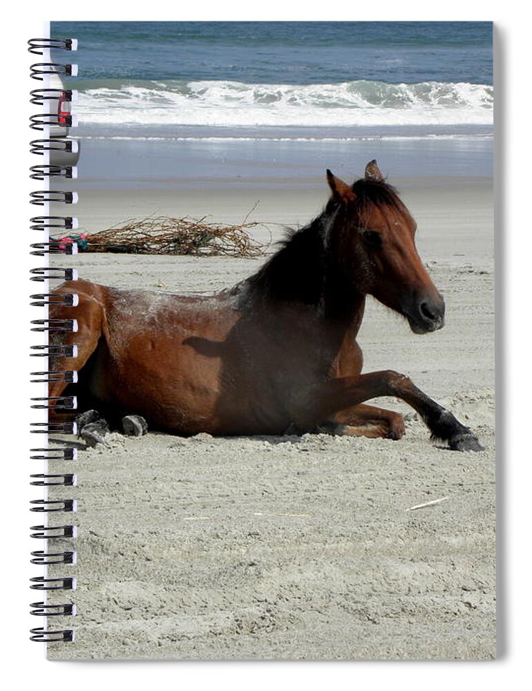 Wild Spiral Notebook featuring the photograph That Was Fun by Kim Galluzzo
