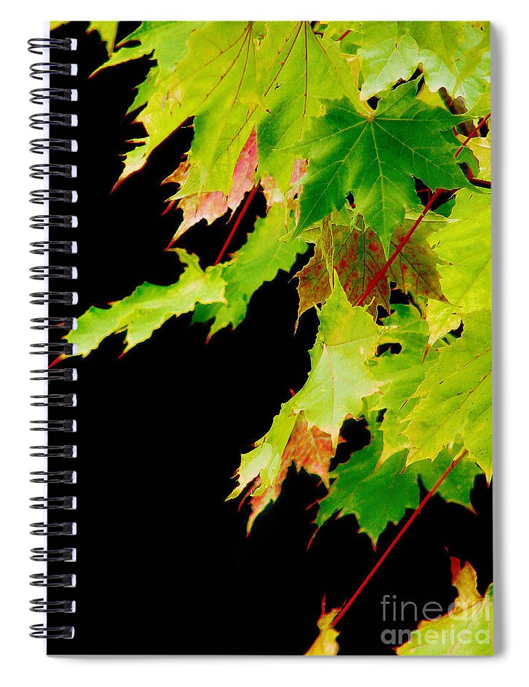 Maple Spiral Notebook featuring the photograph The Beginning Of Change by Rory Siegel