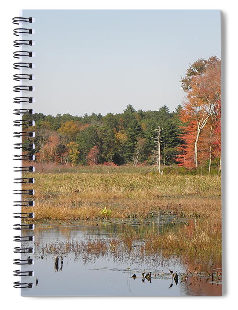 Autumn Spiral Notebook featuring the photograph The Colors Have Arrived by Kim Galluzzo
