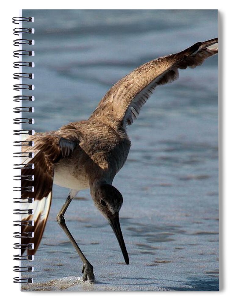 Cape Hatteras National Seashore Spiral Notebook featuring the photograph The Dinner Dance by Adam Jewell