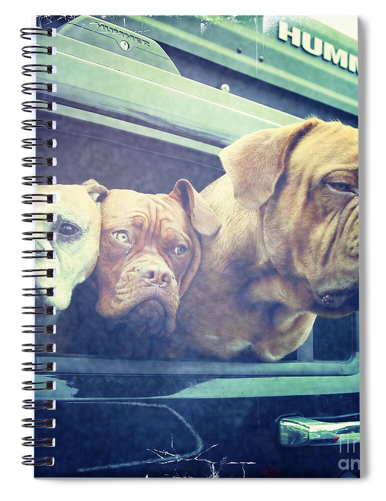 Dog Spiral Notebook featuring the photograph The Dog Taxi Is A Hummer by Nina Prommer