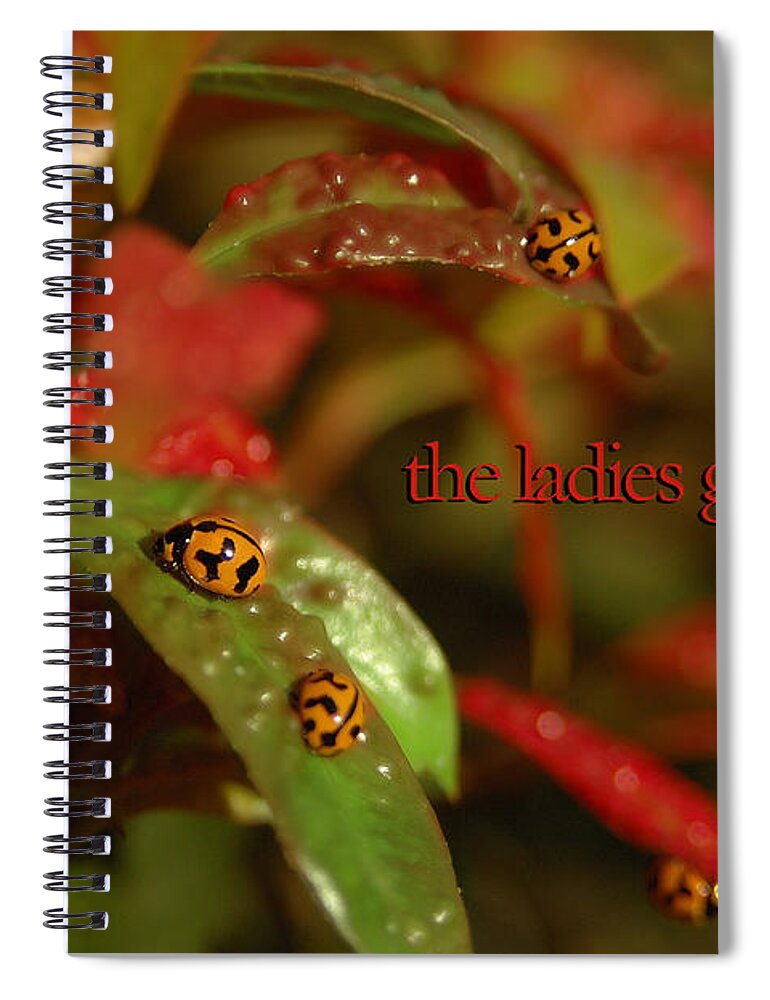 Vicki Ferrari Photography Spiral Notebook featuring the photograph The Ladies Gathering by Vicki Ferrari
