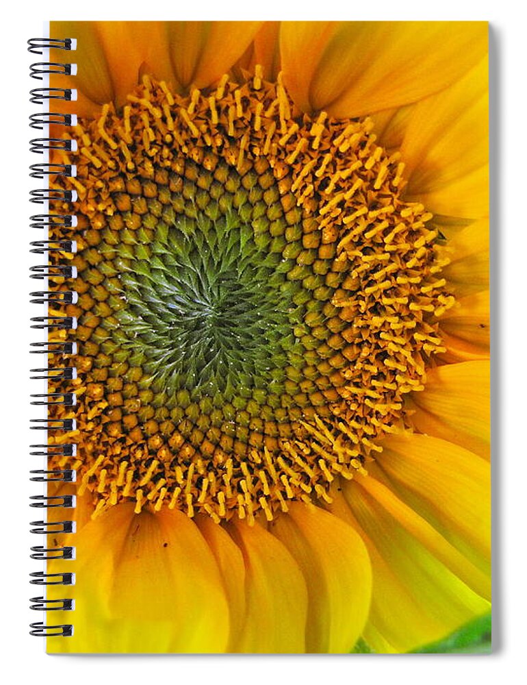Photography Spiral Notebook featuring the photograph The Last Sunflower by Sean Griffin