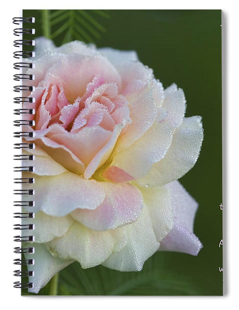 Peace Spiral Notebook featuring the photograph The Peace Rose by Kathy Clark