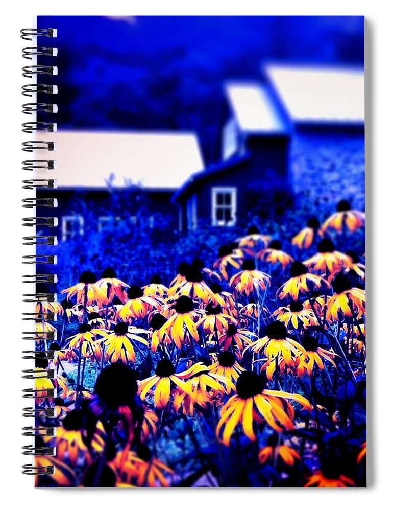 Flowers Spiral Notebook featuring the photograph The Suns of God by Kevyn Bashore