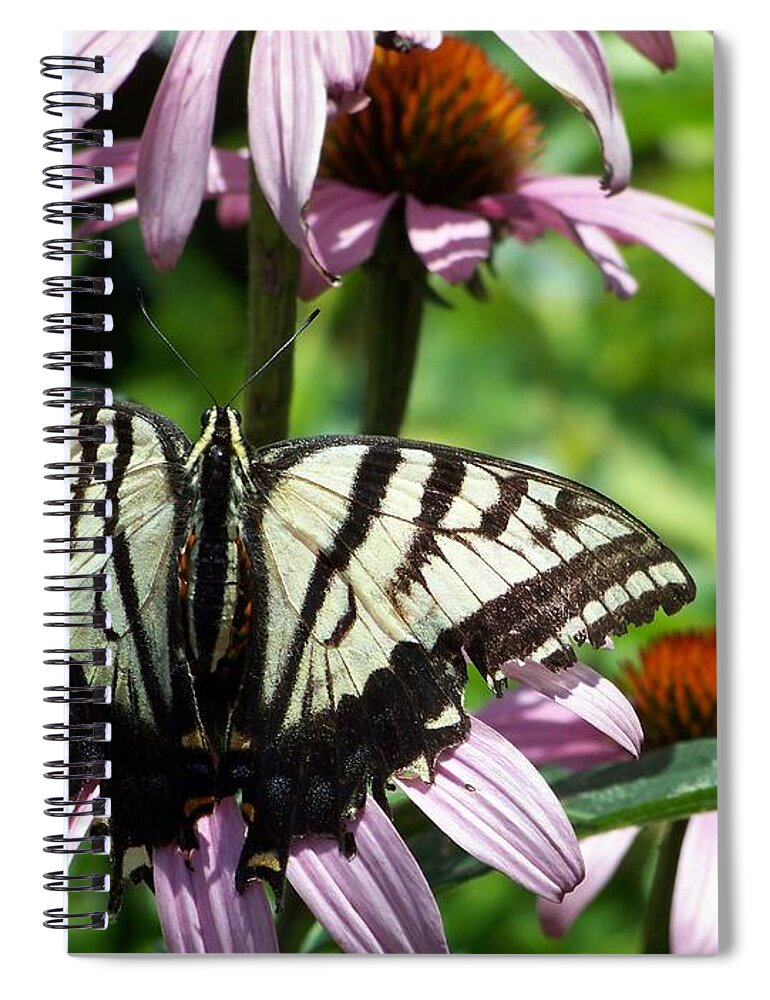 Butterflies Spiral Notebook featuring the photograph The Survivor by Dorrene BrownButterfield
