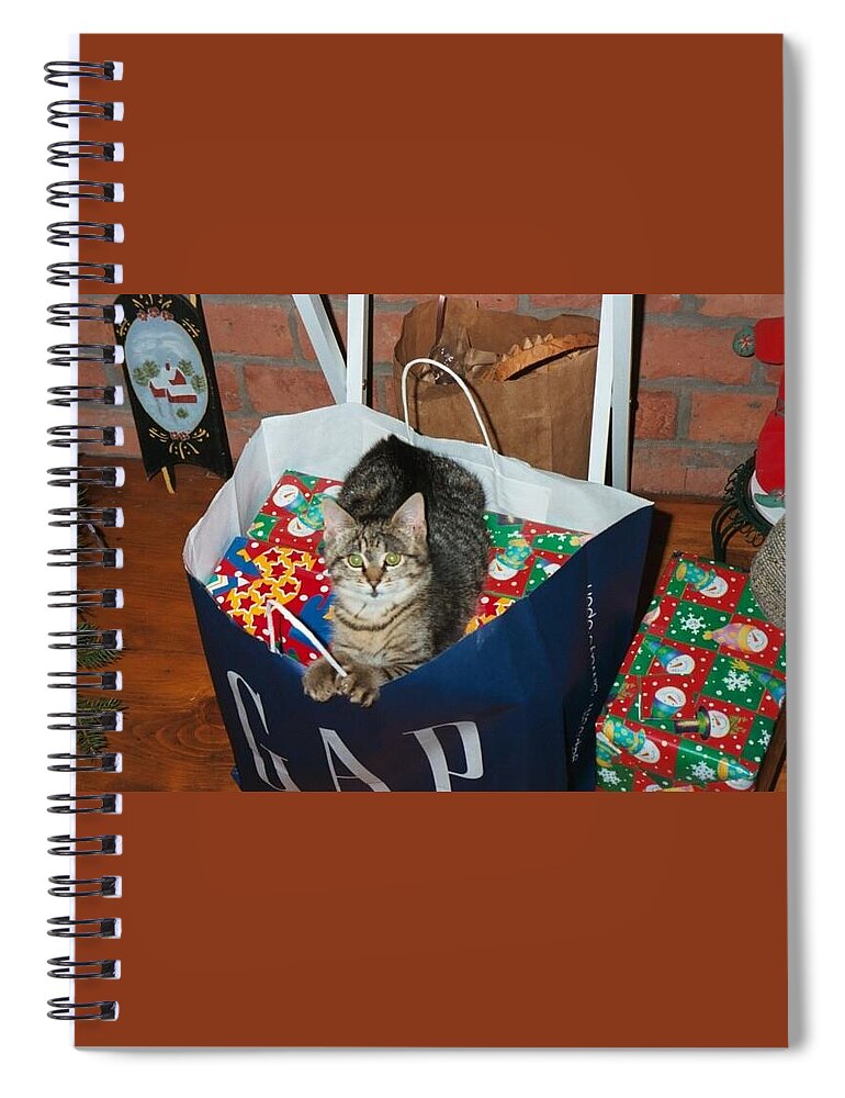 Kitten Spiral Notebook featuring the photograph These Are Mine by Kim Galluzzo