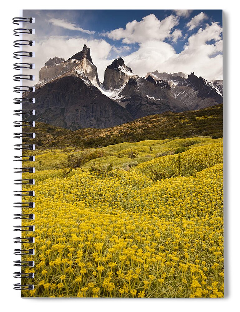00451389 Spiral Notebook featuring the photograph Thorny Matabarrosa Flowers In Torres by Colin Monteath