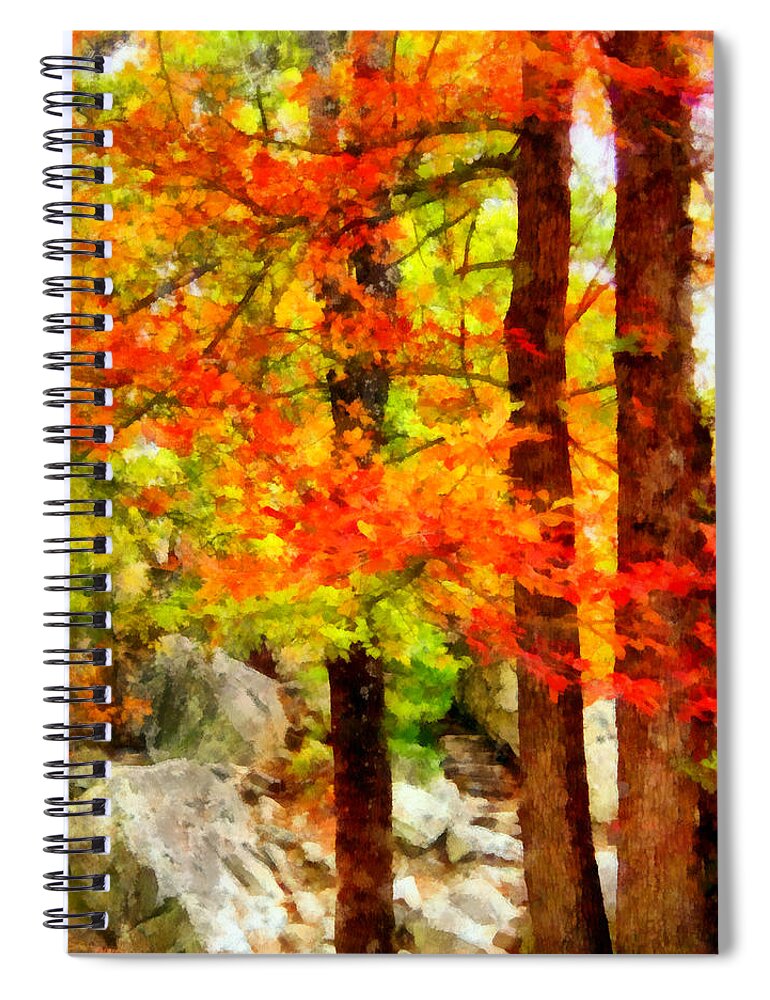 Tree Spiral Notebook featuring the photograph Three Trees by Angelina Tamez