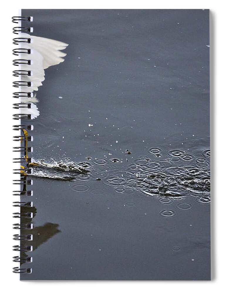 Snowy White Egret Spiral Notebook featuring the photograph Tiny Bubbles by Saija Lehtonen