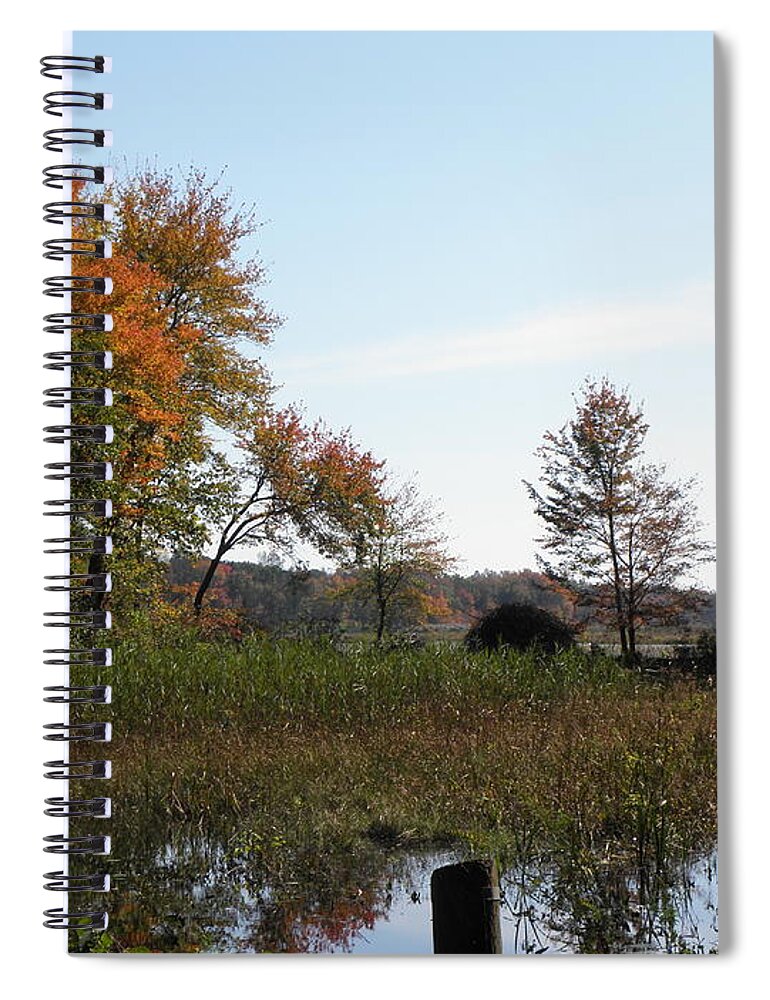 Autumn Spiral Notebook featuring the photograph To See Autumn Colors Forever by Kim Galluzzo Wozniak