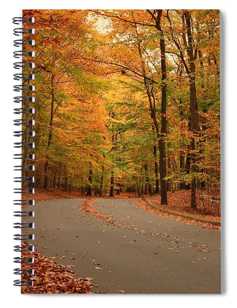 Autumn Spiral Notebook featuring the photograph Trees Of Autumn - Holmdel Park by Angie Tirado