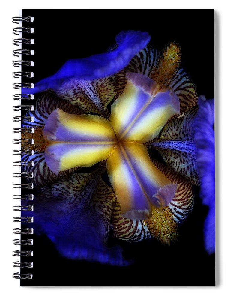 Flower Spiral Notebook featuring the photograph Triad by Mark Fuller