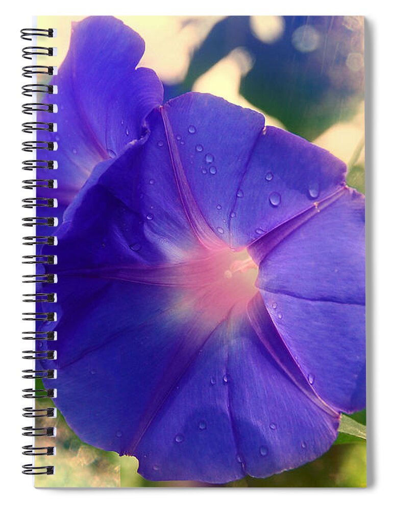 Flower Spiral Notebook featuring the photograph Tropical Morning Glories by Elaine Manley