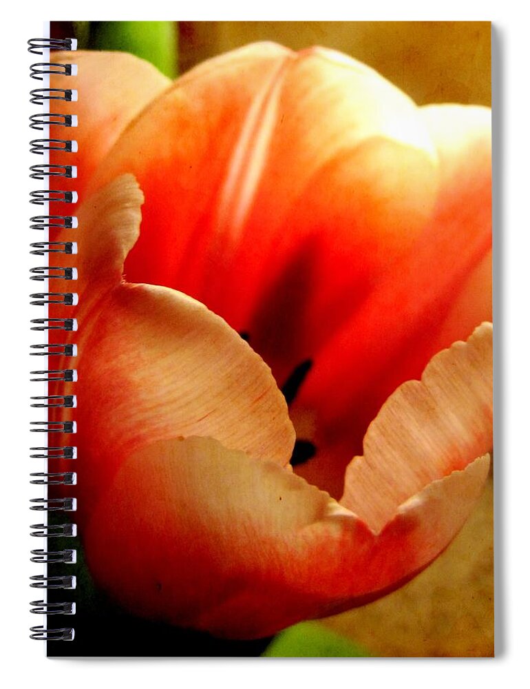 Tulip Spiral Notebook featuring the photograph Tulip 2 by Life Makes Art