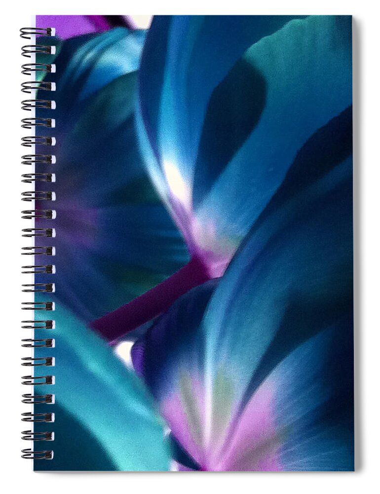 Blue Spiral Notebook featuring the photograph Tulip Blues by Kathy Corday