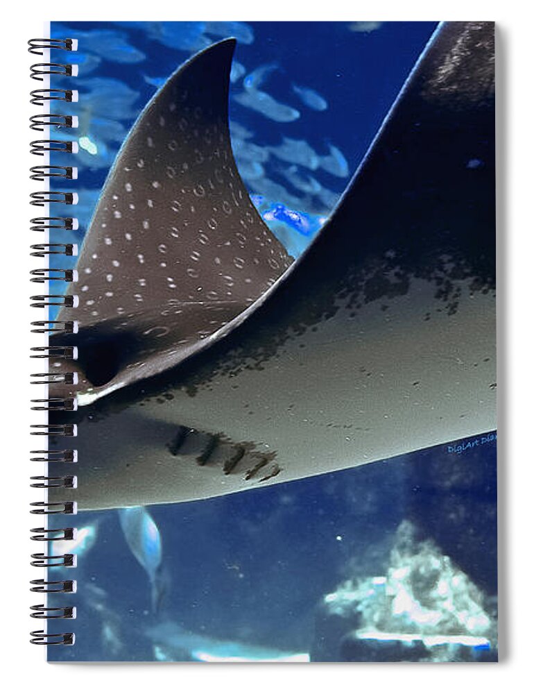 Spotted Eagle Ray Spiral Notebook featuring the photograph Underwater Flight by DigiArt Diaries by Vicky B Fuller