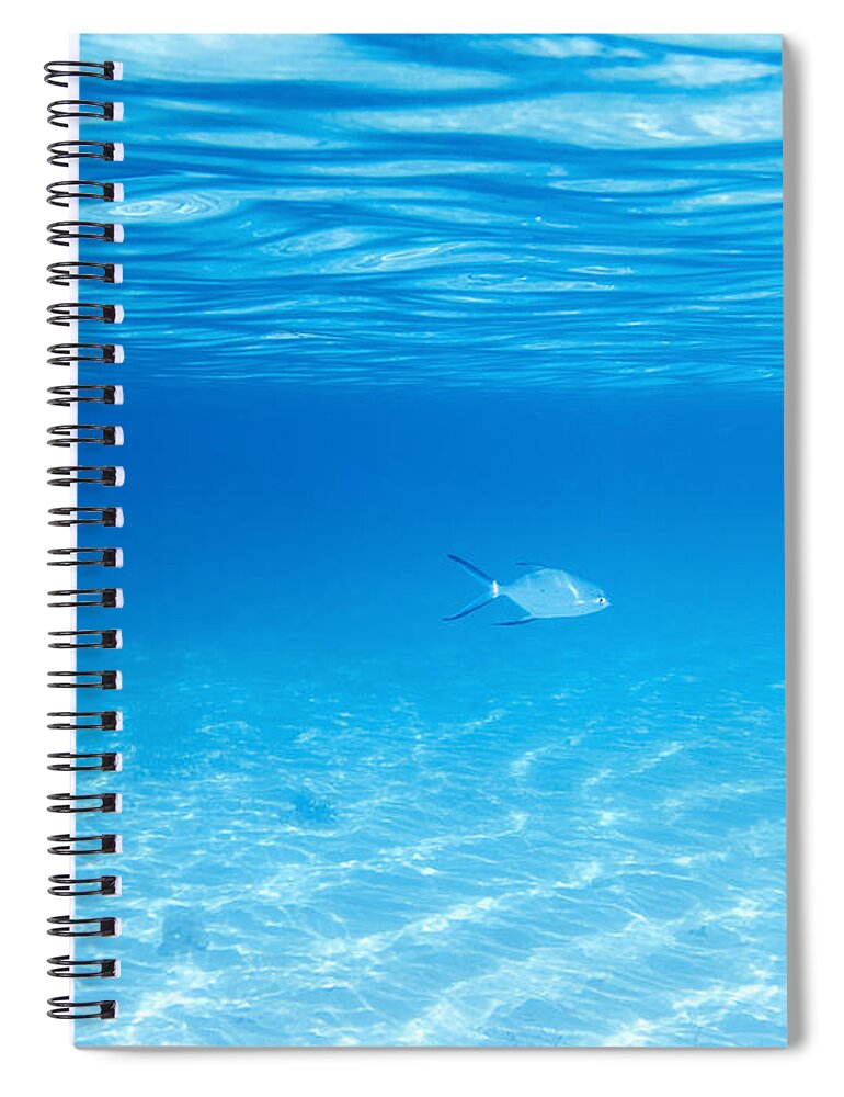Underwater Spiral Notebook featuring the photograph Underwater by MotHaiBaPhoto Prints