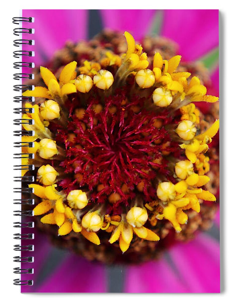 Nature Spiral Notebook featuring the photograph Unforgettable... by Melanie Moraga