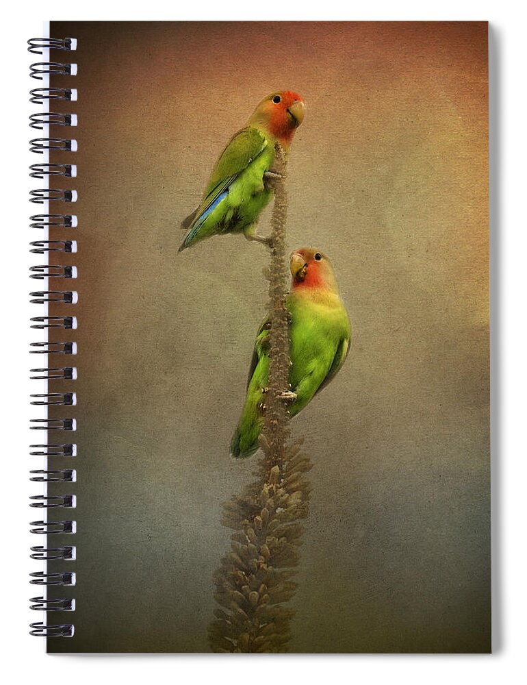 Peach Faced Lovebird Spiral Notebook featuring the photograph Up and Away We Go by Saija Lehtonen
