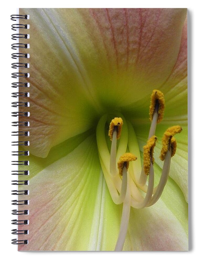 Lily Spiral Notebook featuring the photograph Up Close And Personal Beauty by Kim Galluzzo Wozniak