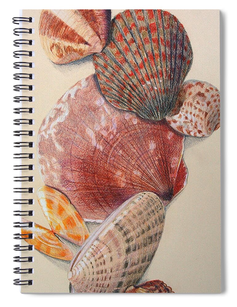 Shells Spiral Notebook featuring the drawing Vertical Clam Shells by Glenda Zuckerman