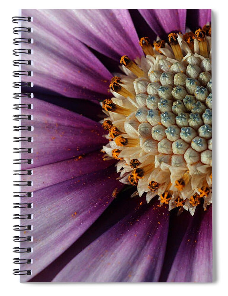 Flower Spiral Notebook featuring the photograph Vibrant by Heidi Smith