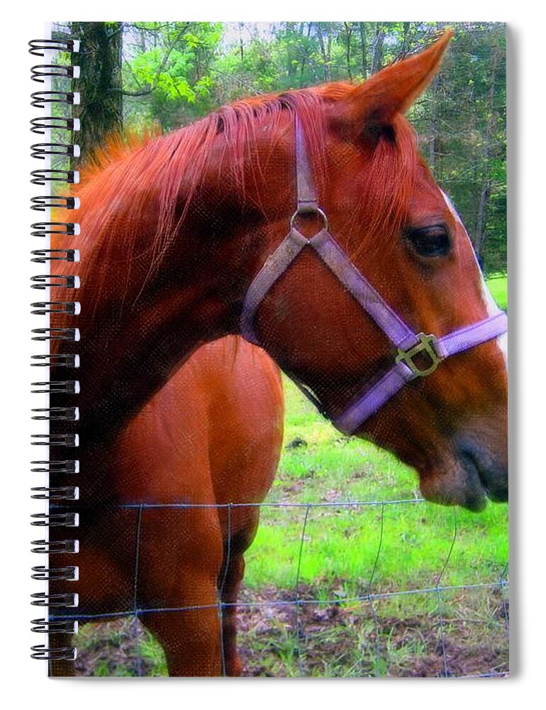 Horse Spiral Notebook featuring the photograph Waiting for Apples by Susan Carella