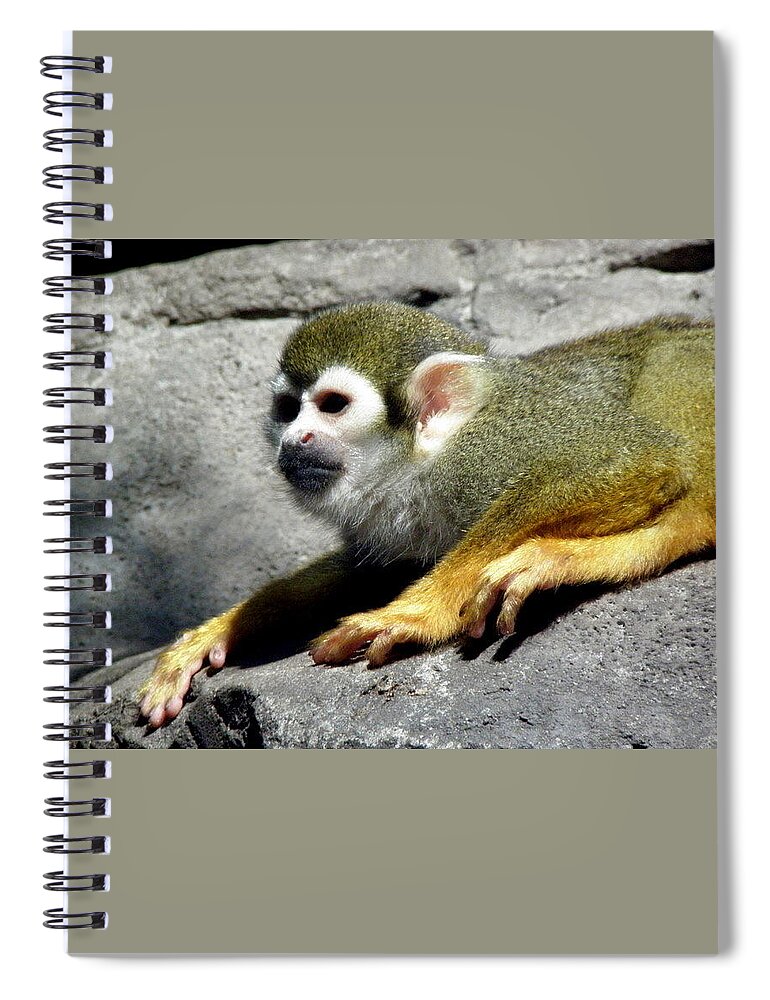 Monkey Spiral Notebook featuring the photograph Watching Over by Kim Galluzzo