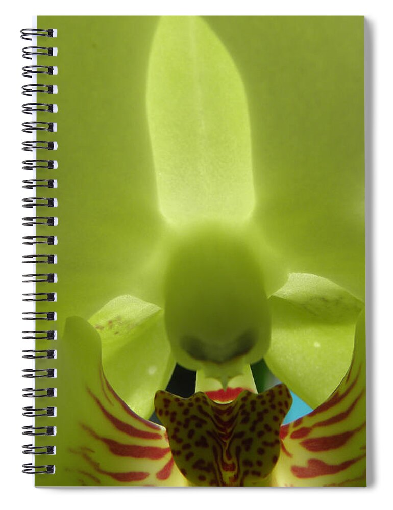 Orchid Spiral Notebook featuring the photograph What Do You See by Kim Galluzzo Wozniak