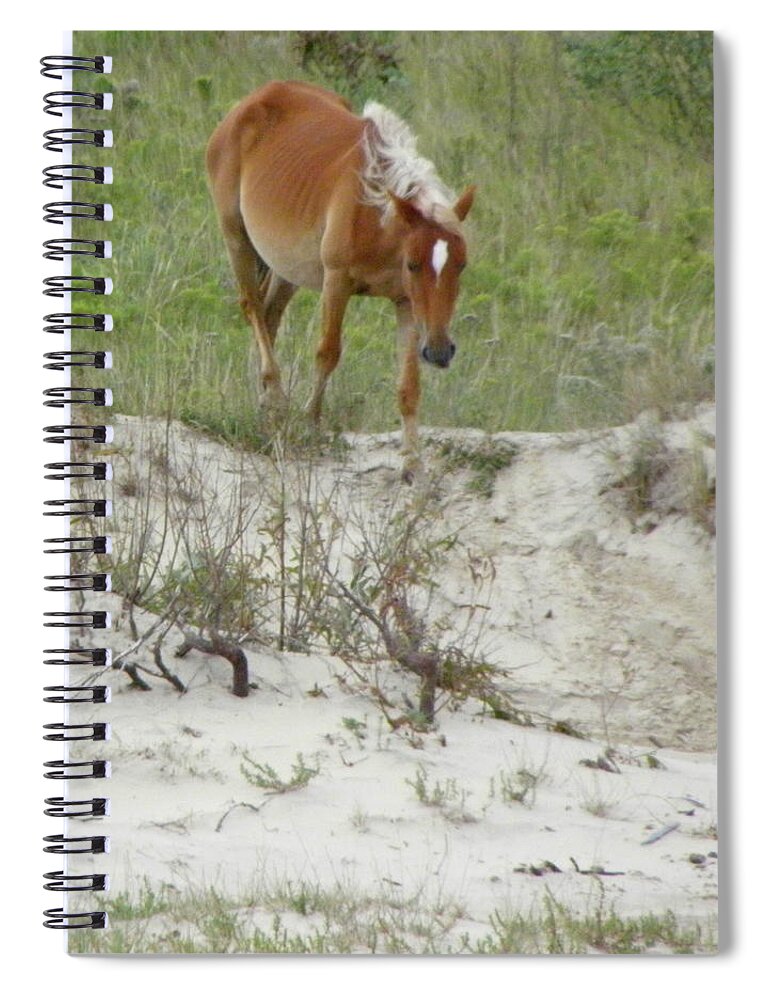 Mustang Spiral Notebook featuring the photograph Wild Spanish Mustang of the Outer Banks of North Carolina by Kim Galluzzo