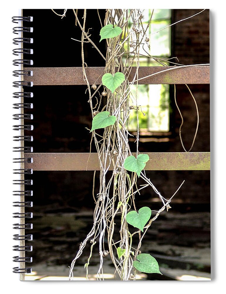 Selma Spiral Notebook featuring the photograph Window on the Past by Al Griffin