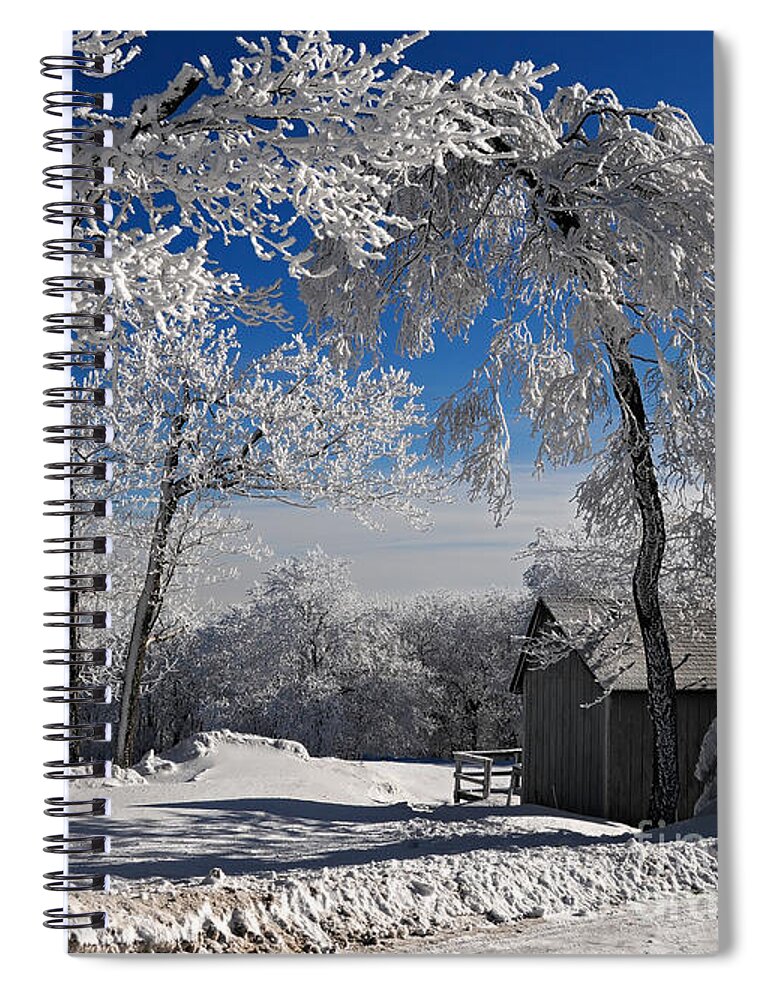 Winter Morning Spiral Notebook featuring the photograph Winter Morning by Lois Bryan