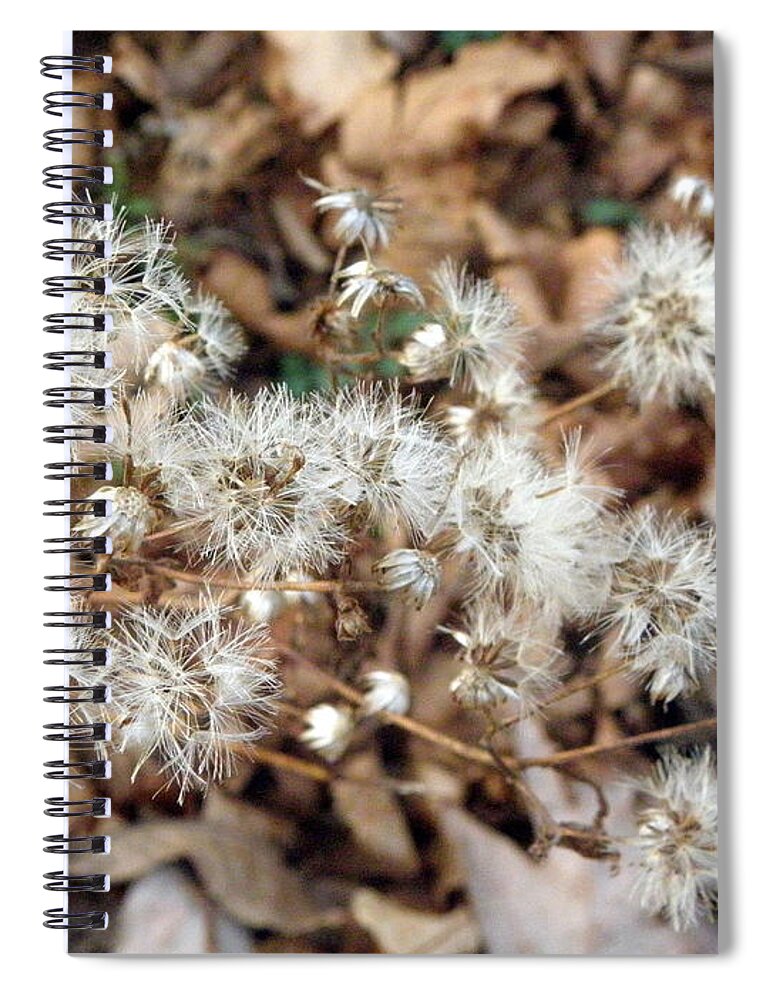 Winters Spiral Notebook featuring the photograph Winters flowers by Kim Galluzzo Wozniak