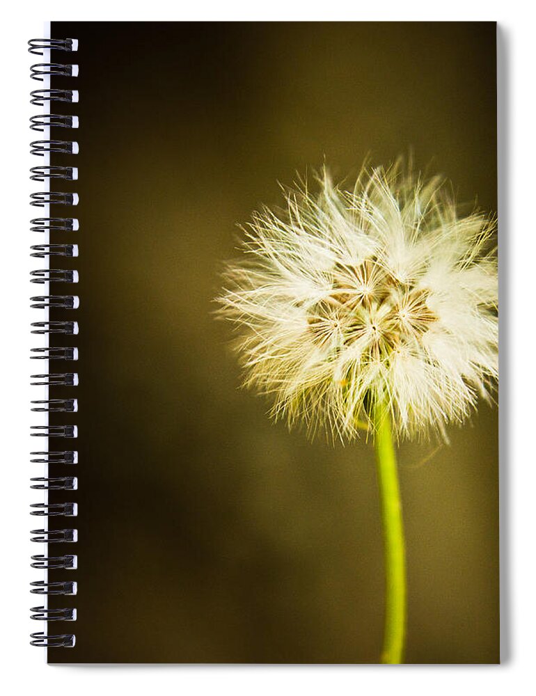 Dandelion Spiral Notebook featuring the photograph Wishes by Sara Frank