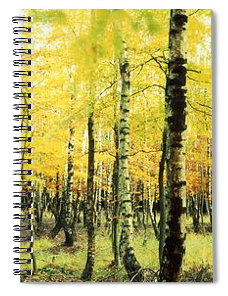 Nature Spiral Notebook featuring the photograph Yellow birches by Ulrich Kunst And Bettina Scheidulin