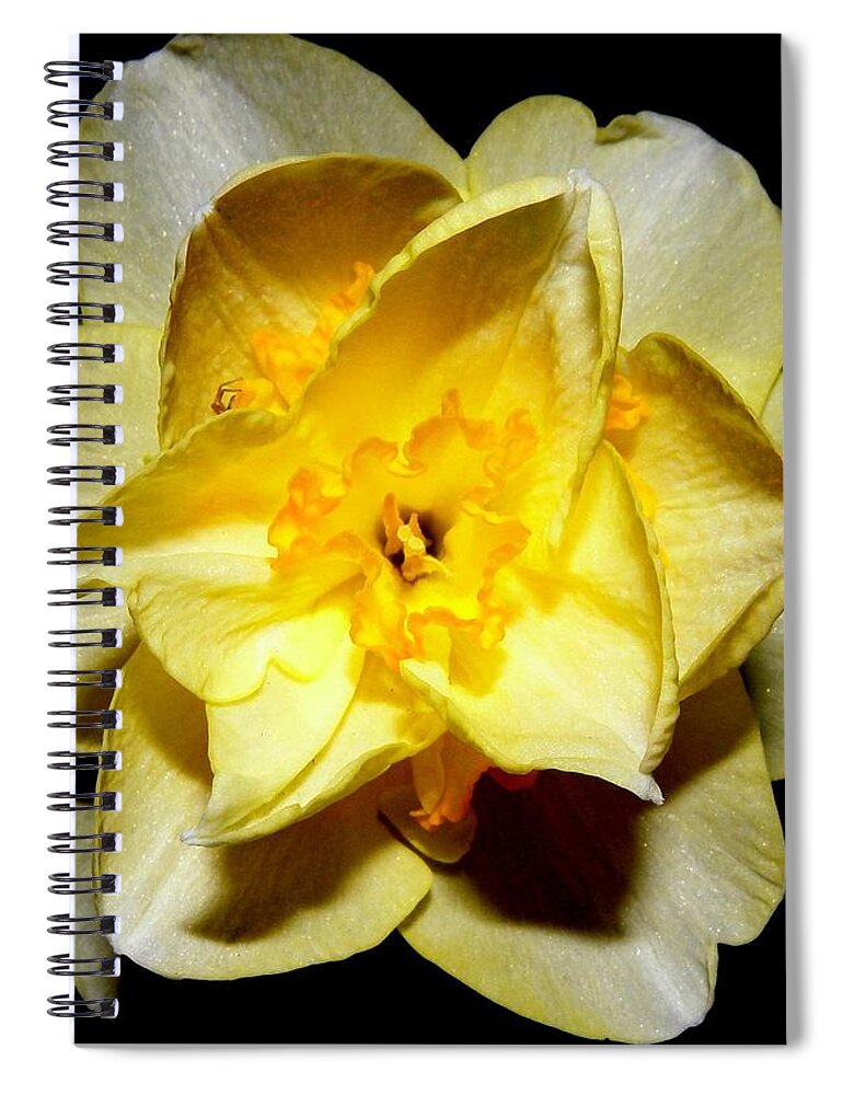 Yellow Spiral Notebook featuring the photograph Yellow Dream by Kim Galluzzo Wozniak