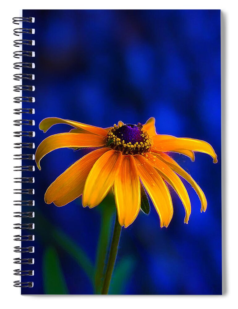 Yellow Flower Spiral Notebook featuring the photograph Yellow Petal Blues by Bill and Linda Tiepelman