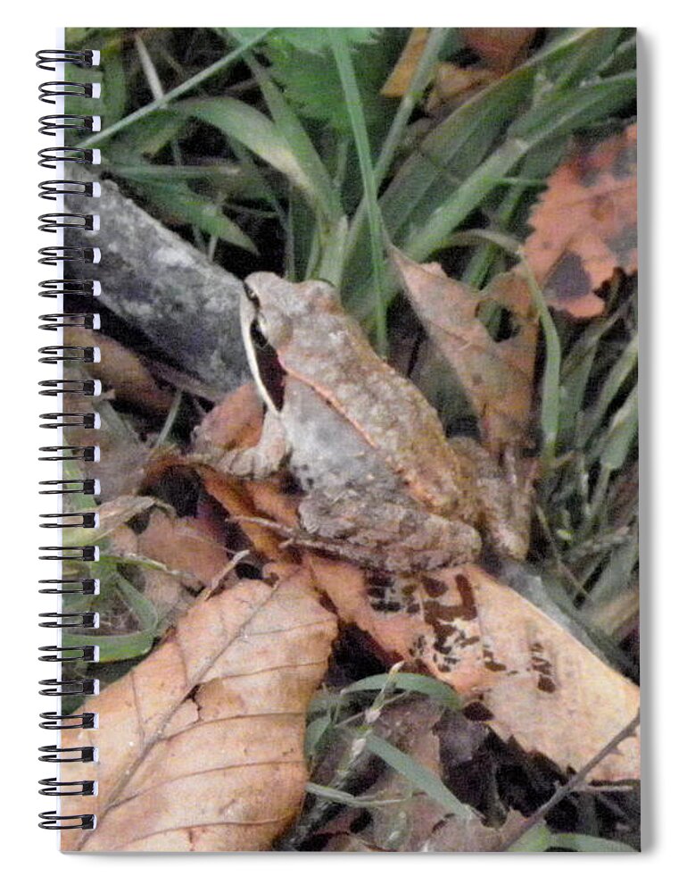 Frog Spiral Notebook featuring the photograph yes I blend by Kim Galluzzo Wozniak
