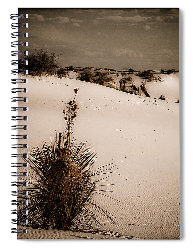 White Sands Spiral Notebook featuring the photograph White Sands, New Mexico - Yucca by Mark Forte