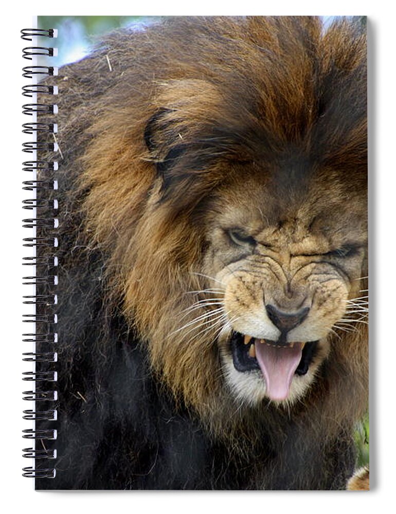 Lion Spiral Notebook featuring the photograph Yuck vegetables by Randy Wehner