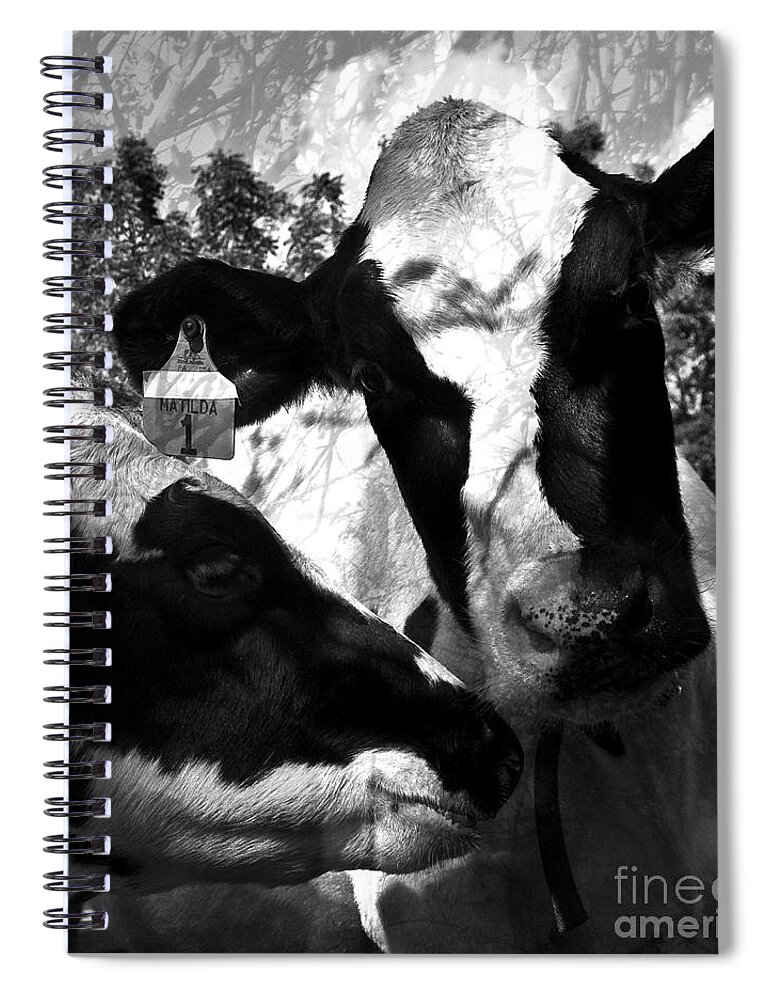 Agriculture Greeting Cards Spiral Notebook featuring the photograph Zoey Plays with Matilda by Danielle Summa