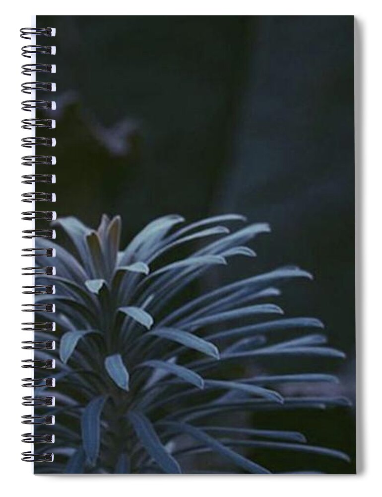 Flower Spiral Notebook featuring the photograph Blue Flower by Cordelia Wood