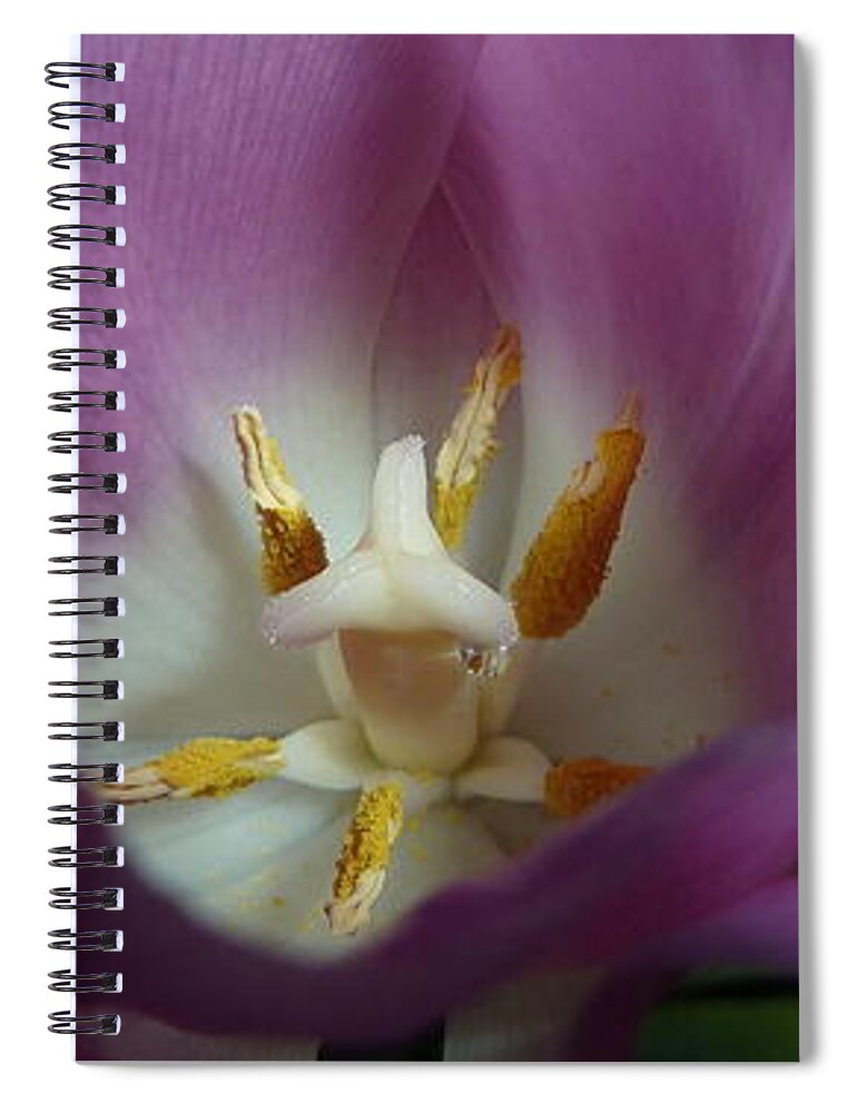 Hope Spiral Notebook featuring the photograph Open Your Heart with Hope by Michele Penn