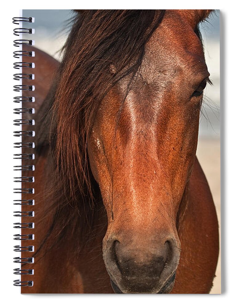 Owed To Nature Spiral Notebook featuring the photograph Wild guardians of the beach by Sylvia J Zarco