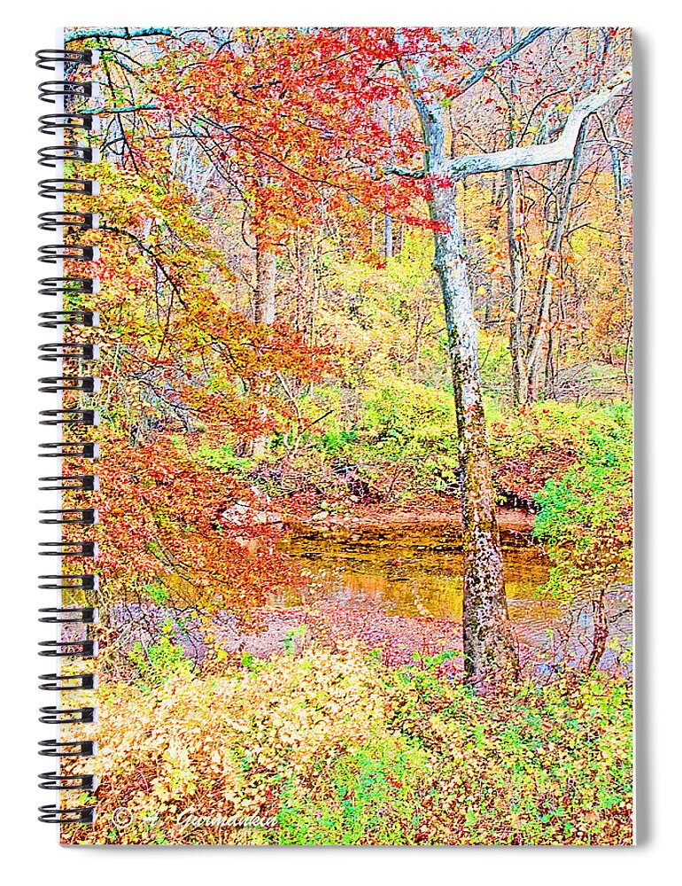 Environment Spiral Notebook featuring the photograph Woods in Autumn Montgomery Cty Pennsylvania by A Macarthur Gurmankin