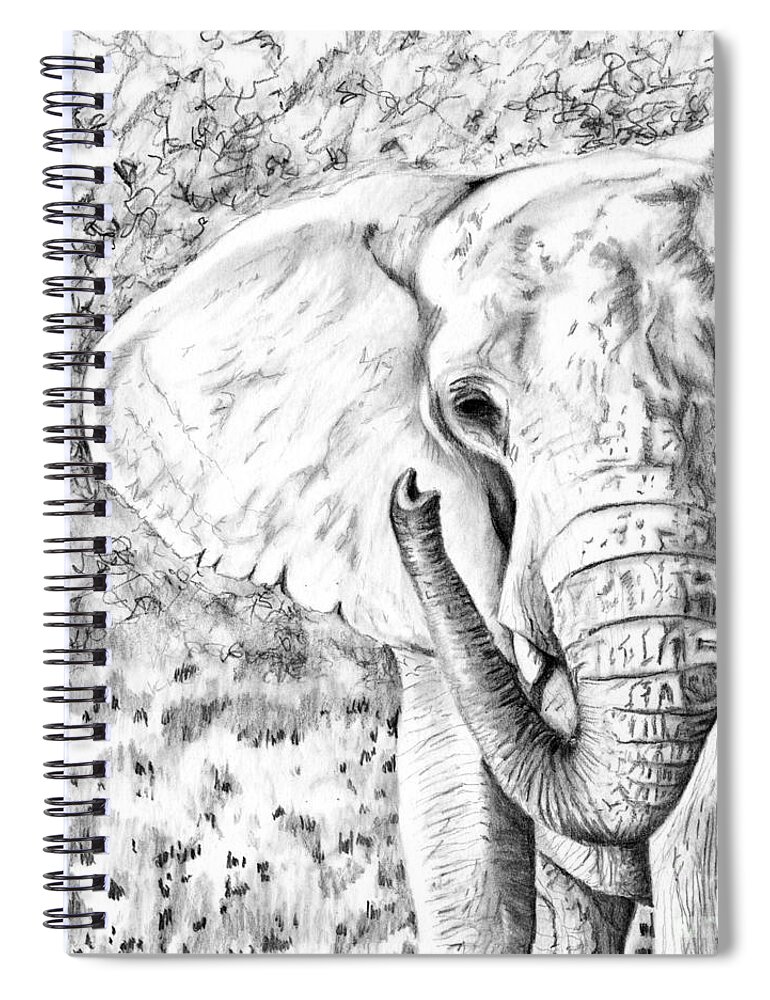Denise Spiral Notebook featuring the drawing 01 of 30 Elephant by Denise Deiloh