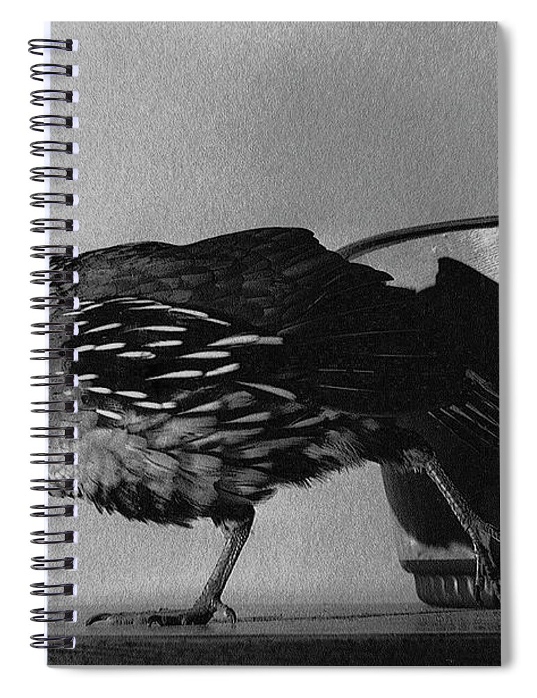 Nature Spiral Notebook featuring the photograph 05_Rob and Mike by Christopher Plummer